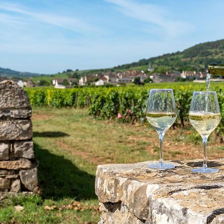 Charmante Maison Climatisee Avec Son Jardin A 10 Minutes De Dijon Марсанне-ла-Кот Экстерьер фото